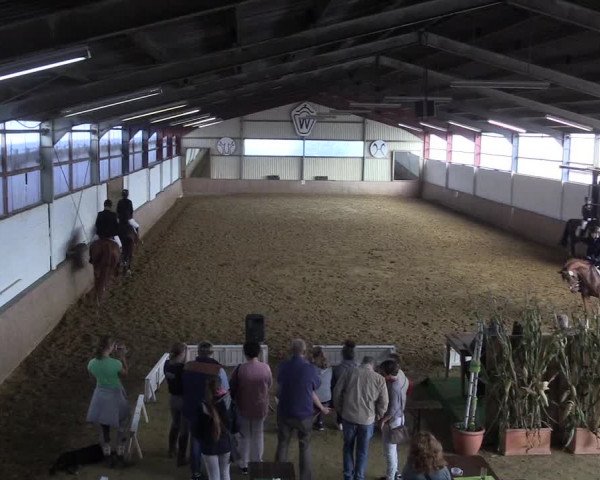 Reitturnier Lüdinghausen-Westrup 2017