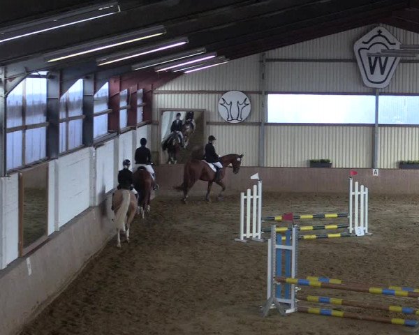 Reitturnier Lüdinghausen-Westrup 2017