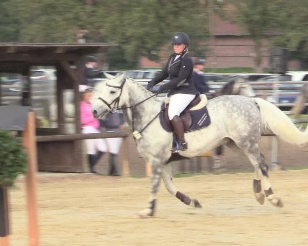 Reitturnier Lüdinghausen-Westrup 2017