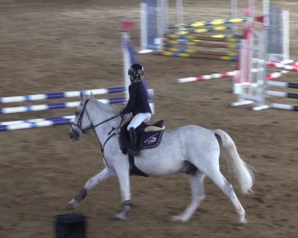 Reitturnier Lüdinghausen-Westrup 2017