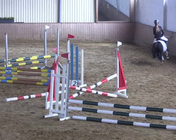 Reitturnier Lüdinghausen-Westrup 2017