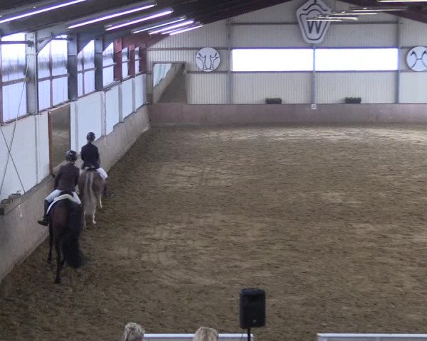 Reitturnier Lüdinghausen-Westrup 2017