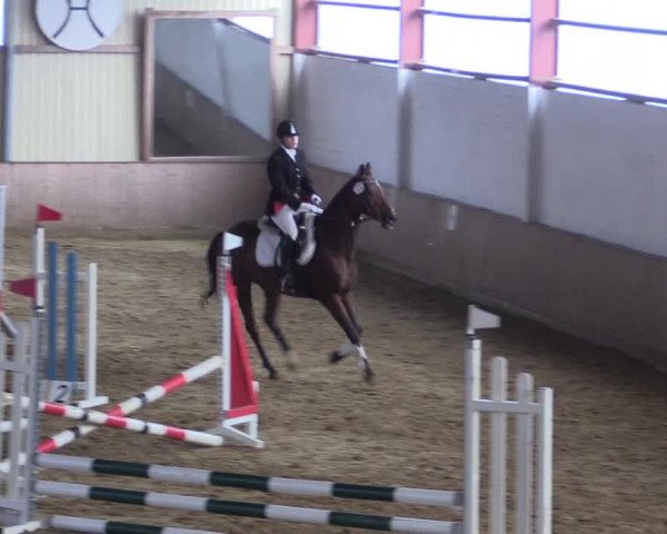 Reitturnier Lüdinghausen-Westrup 2017