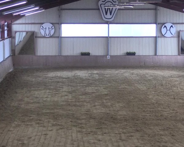 Reitturnier Lüdinghausen-Westrup 2017