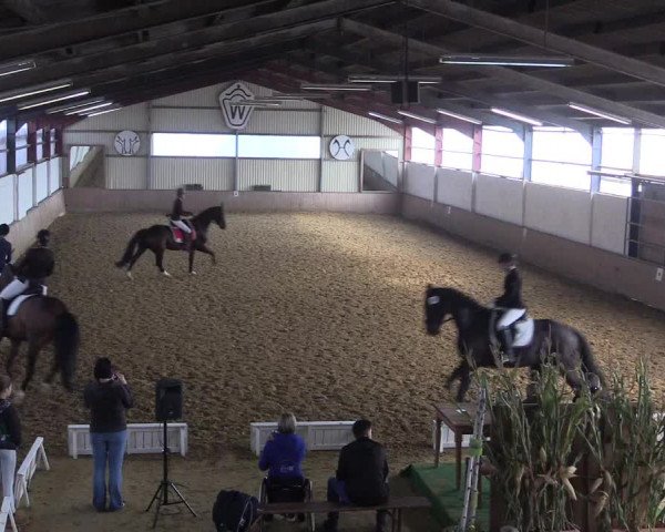 Reitturnier Lüdinghausen-Westrup 2017
