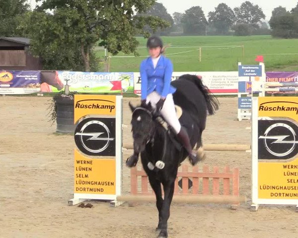 Reitturnier Lüdinghausen-Westrup 2017