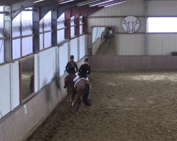 Reitturnier Lüdinghausen-Westrup 2017