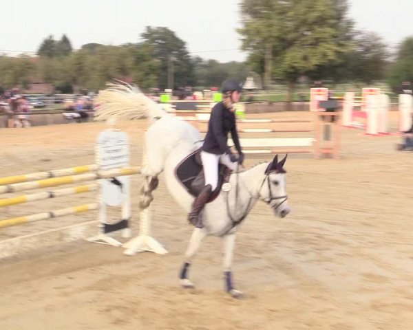 Reitturnier Lüdinghausen-Westrup 2017