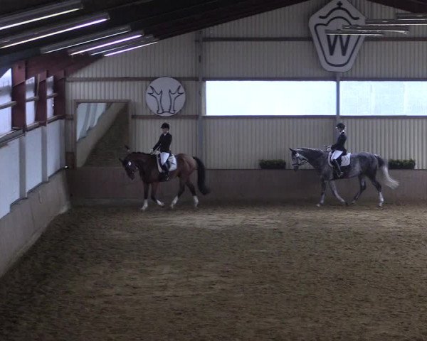 Reitturnier Lüdinghausen-Westrup 2017