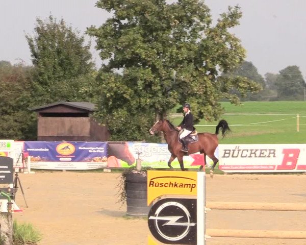 Reitturnier Lüdinghausen-Westrup 2017