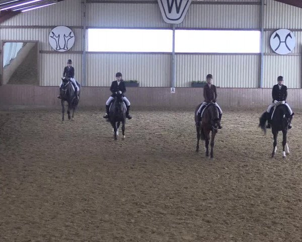 Reitturnier Lüdinghausen-Westrup 2017