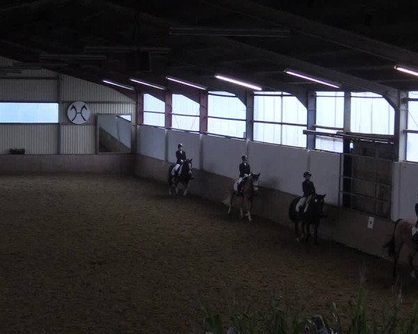 Reitturnier Lüdinghausen-Westrup 2017