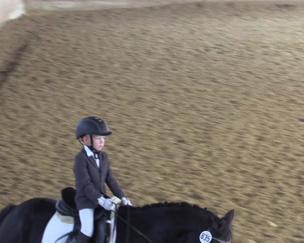 Reitturnier Lüdinghausen-Westrup 2017