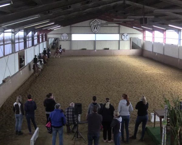 Reitturnier Lüdinghausen-Westrup 2017
