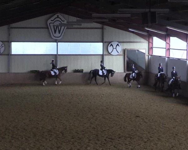 Reitturnier Lüdinghausen-Westrup 2017