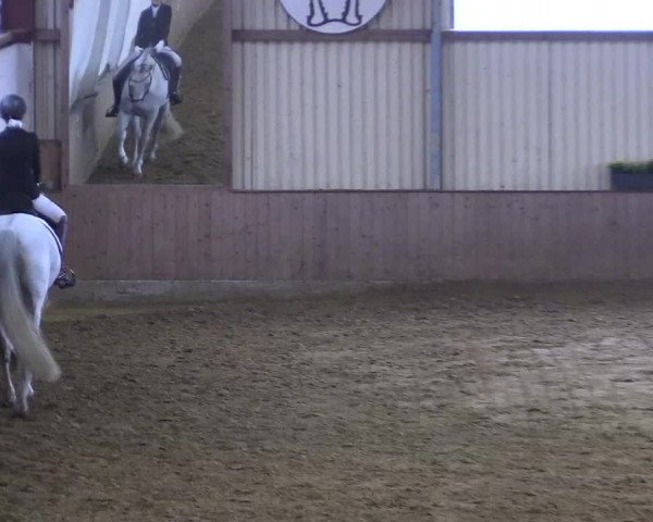 Reitturnier Lüdinghausen-Westrup 2017