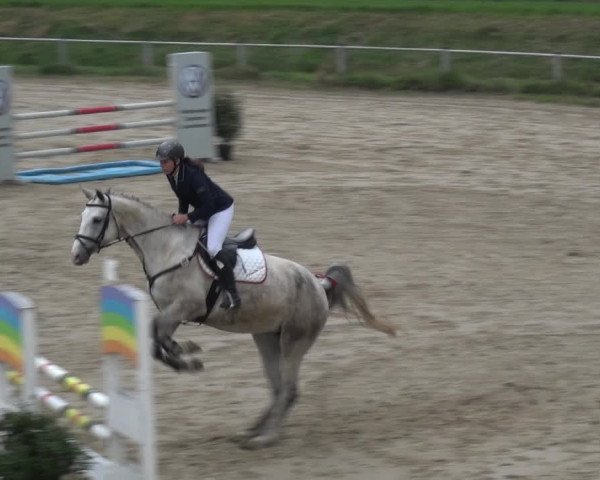 Reitturnier Köln-Leverkusen 2017