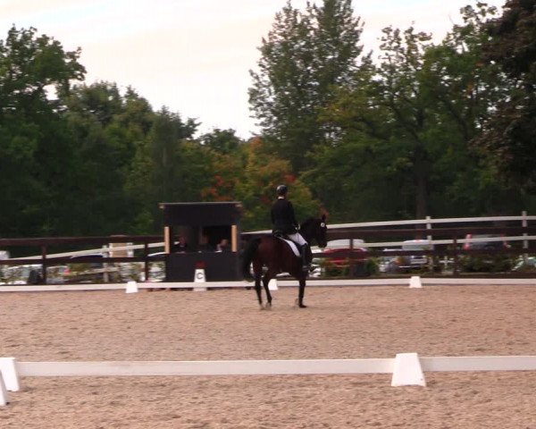Reitturnier Müncheberg 2017