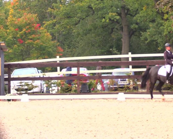 Reitturnier Müncheberg 2017