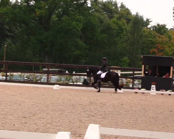 Reitturnier Müncheberg 2017