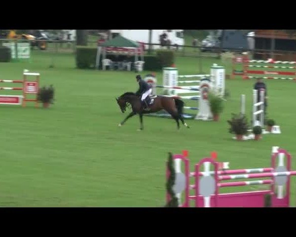 Reitturnier Bad Segeberg 2017