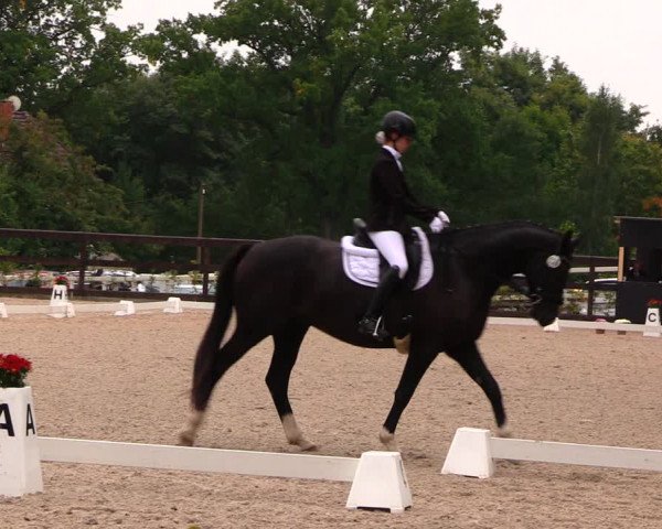 Reitturnier Müncheberg 2017