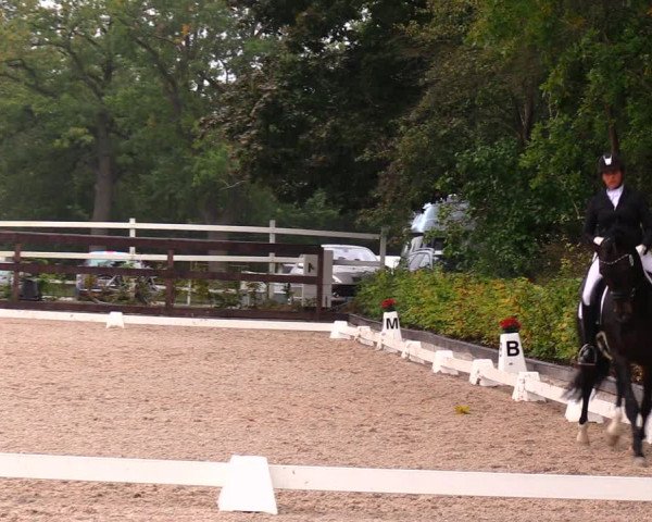 Reitturnier Müncheberg 2017