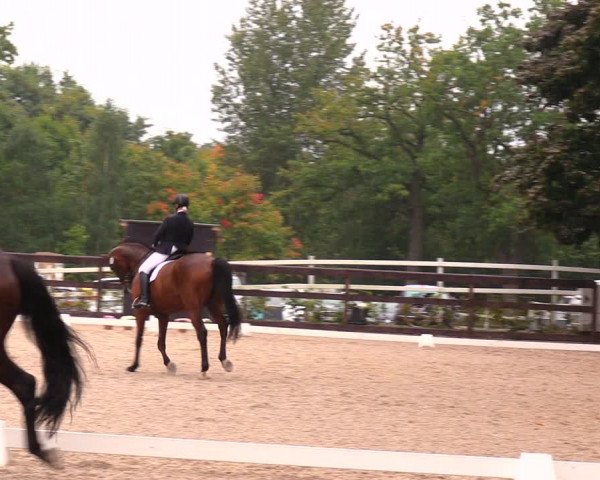 Reitturnier Müncheberg 2017