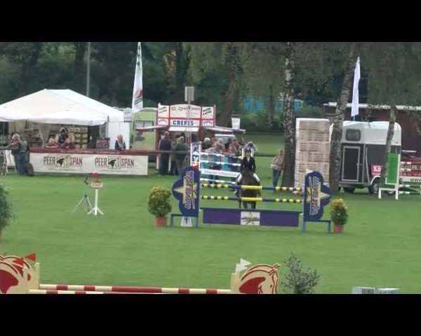Reitturnier Bad Segeberg 2017