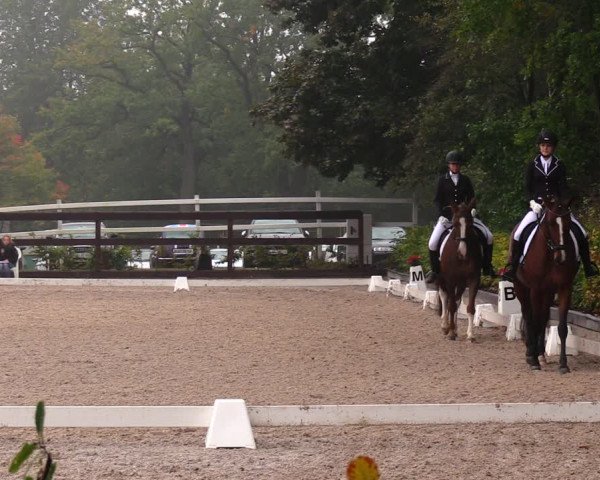 Reitturnier Müncheberg 2017