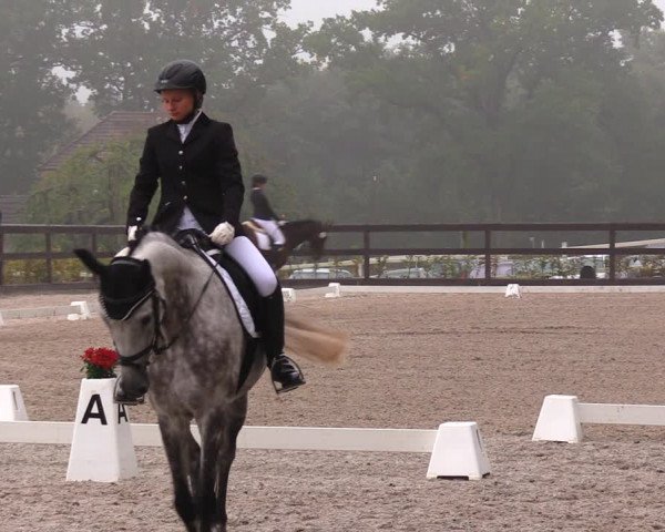 Reitturnier Müncheberg 2017