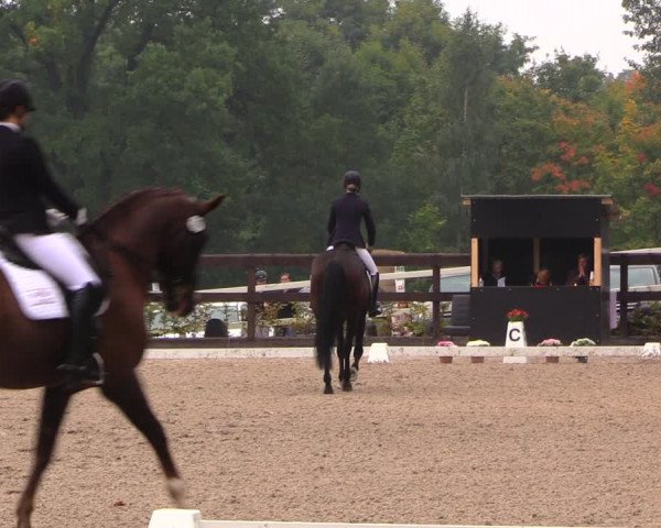 Reitturnier Müncheberg 2017