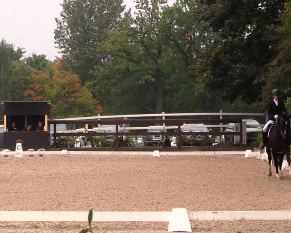 Reitturnier Müncheberg 2017