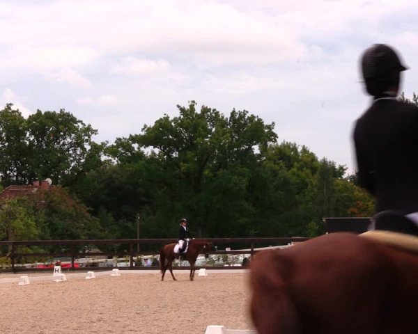 Reitturnier Müncheberg 2017