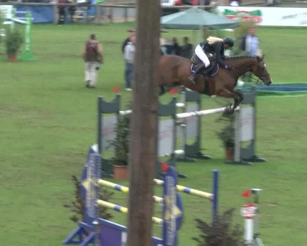 Reitturnier Bad Segeberg 2017