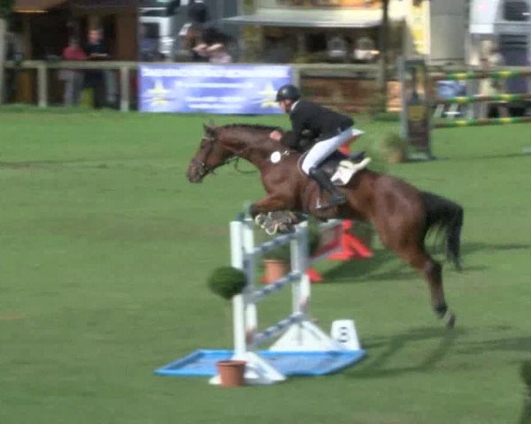 Reitturnier Bad Segeberg 2017