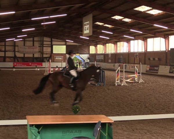 Reitturnier Ovenstädt 2017