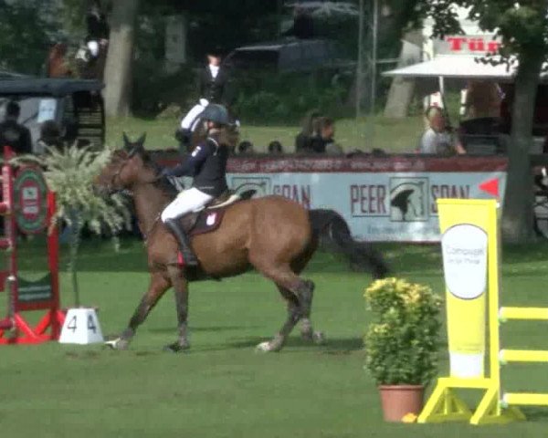 Reitturnier Bad Segeberg 2017