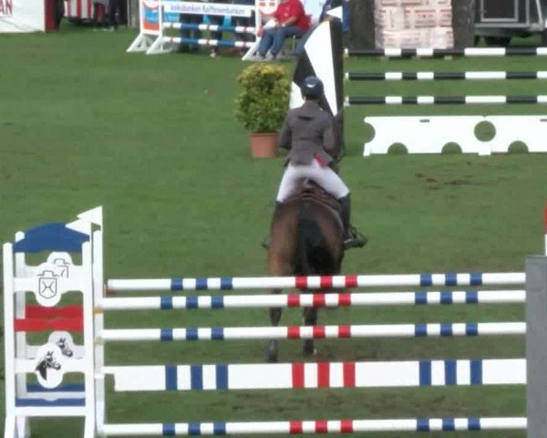 Reitturnier Bad Segeberg 2017