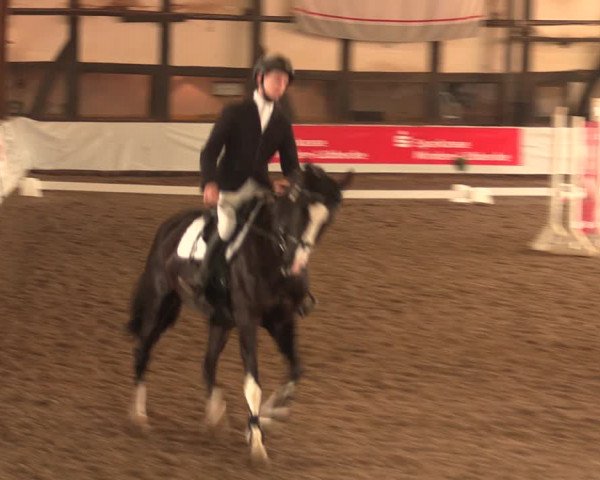 Reitturnier Ovenstädt 2017