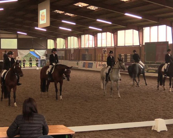 Reitturnier Ovenstädt 2017