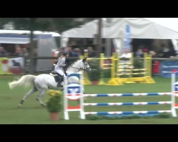 Reitturnier Bad Segeberg 2017