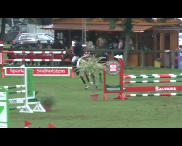 Reitturnier Bad Segeberg 2017