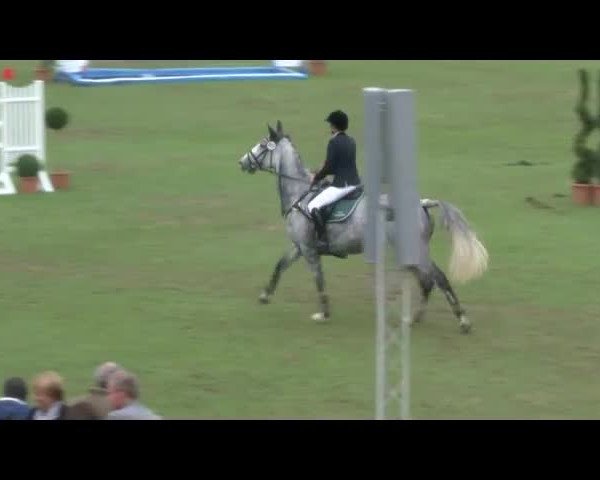 Reitturnier Bad Segeberg 2017