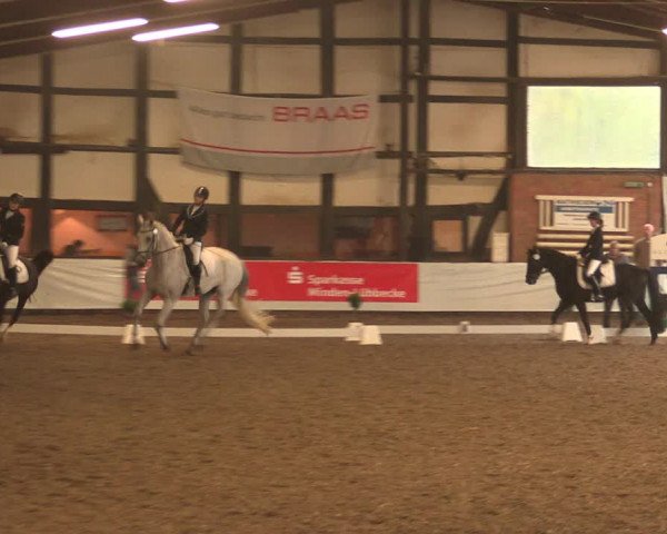 Reitturnier Ovenstädt 2017