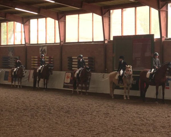 Reitturnier Ovenstädt 2017
