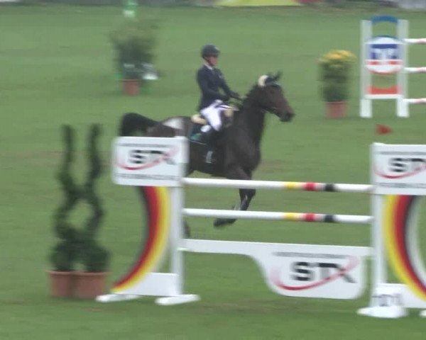 Reitturnier Bad Segeberg 2017