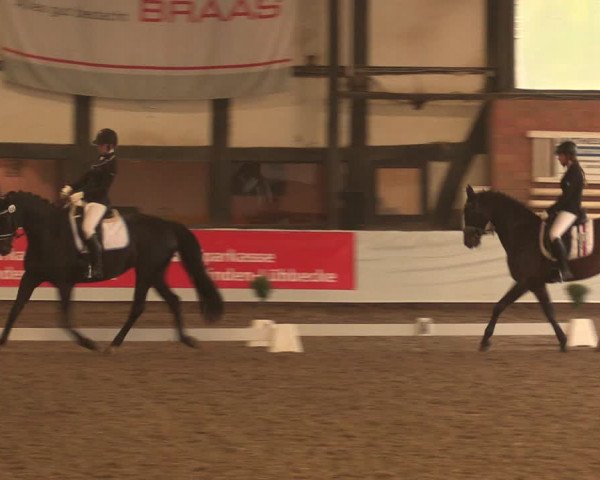 Reitturnier Ovenstädt 2017