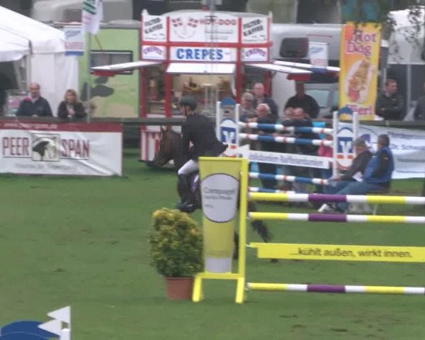 Reitturnier Bad Segeberg 2017