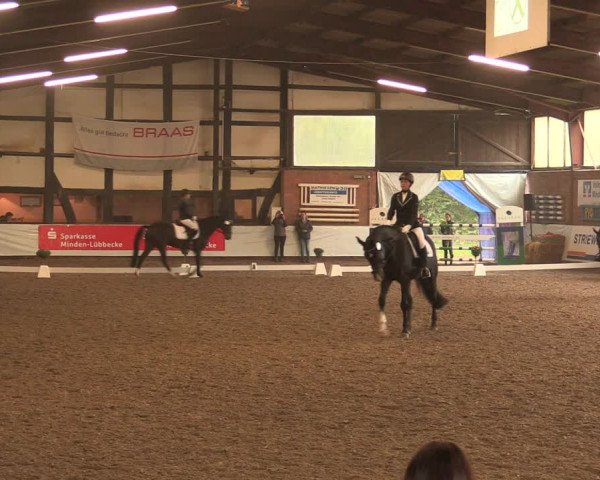 Reitturnier Ovenstädt 2017